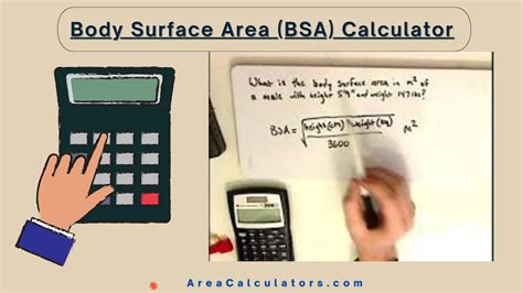 REJECT the BSA's Plan / Estimated Recovery Calculator • .